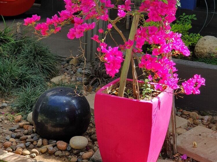 פנסיון 51 On Church Guesthouse