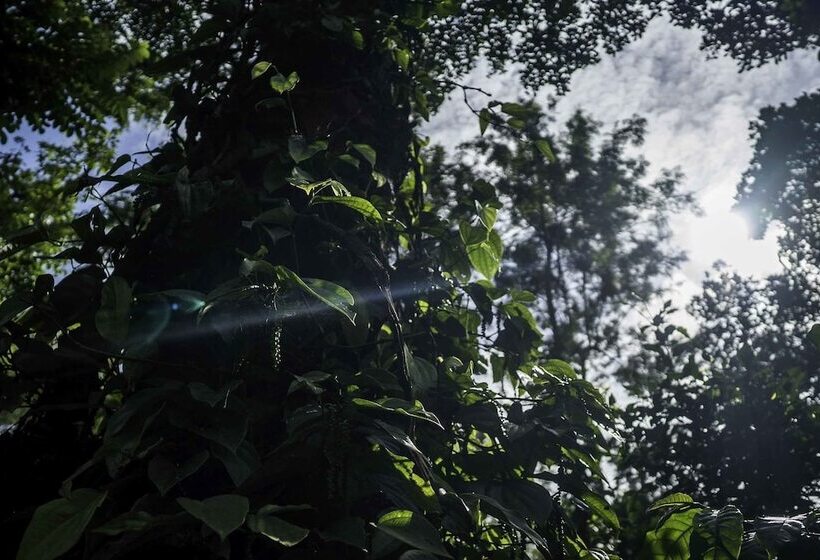 펜션 Brindavan Estate Homestay