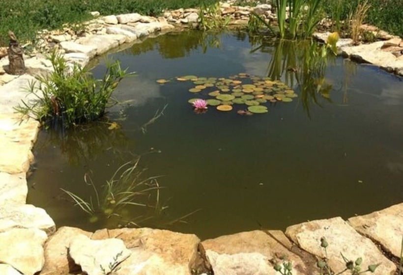 膳宿费 Chambres D Hotes La Mazraa