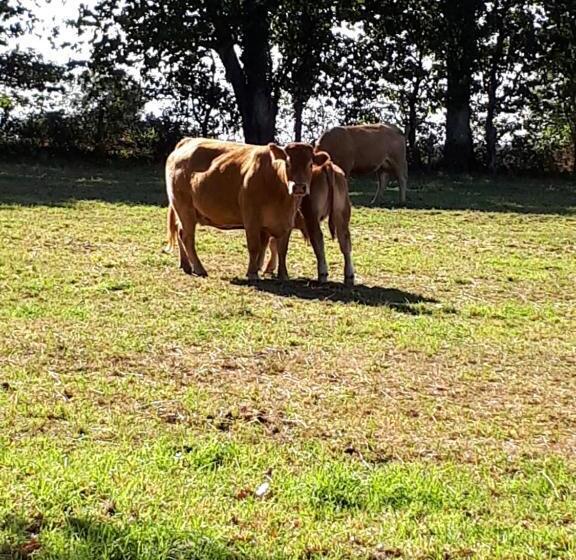 פנסיון Chez Nathalie Et Jean Claude