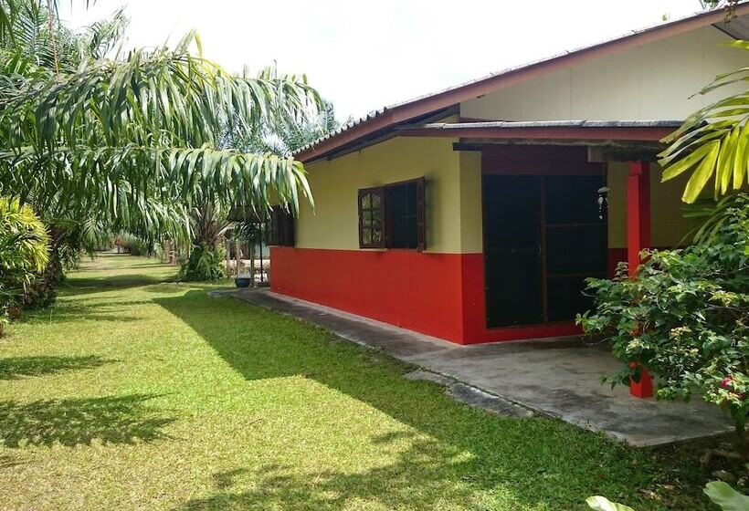 펜션 Coconut Valley Bed & Breakfast