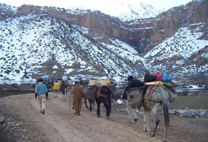 پانسیون Dar Aya Atlas