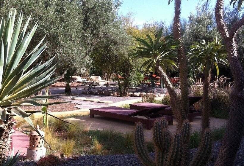 پانسیون Dar Tougga