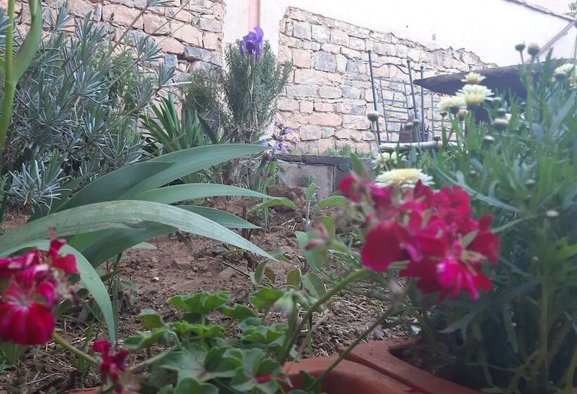 膳宿费 Ecolodge Dar Itrane