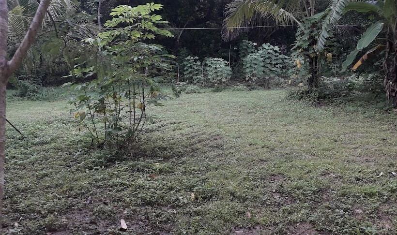 بنسيون G Excursion