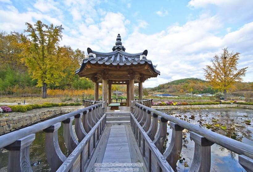 פנסיון Gwiae Traditional House