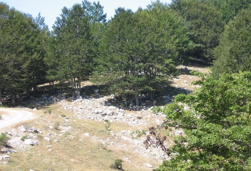 פנסיון Immersi Nella Natura