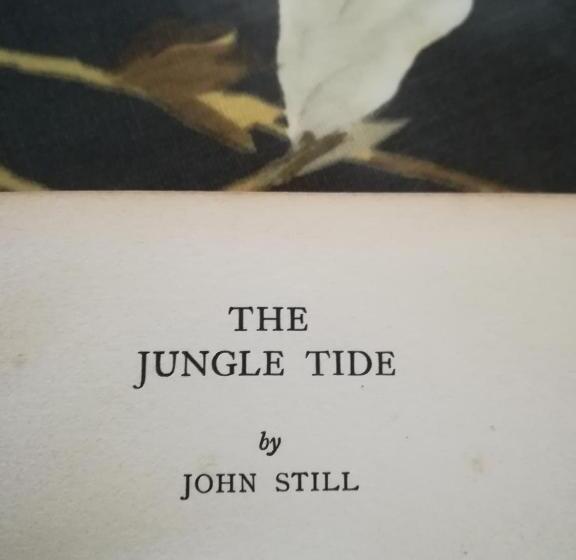 ペンション Jungle Tide