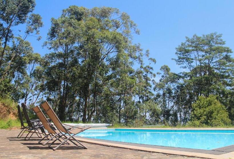 ペンション Jungle Tide