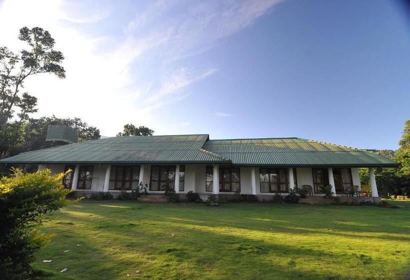 ペンション Jungle Tide