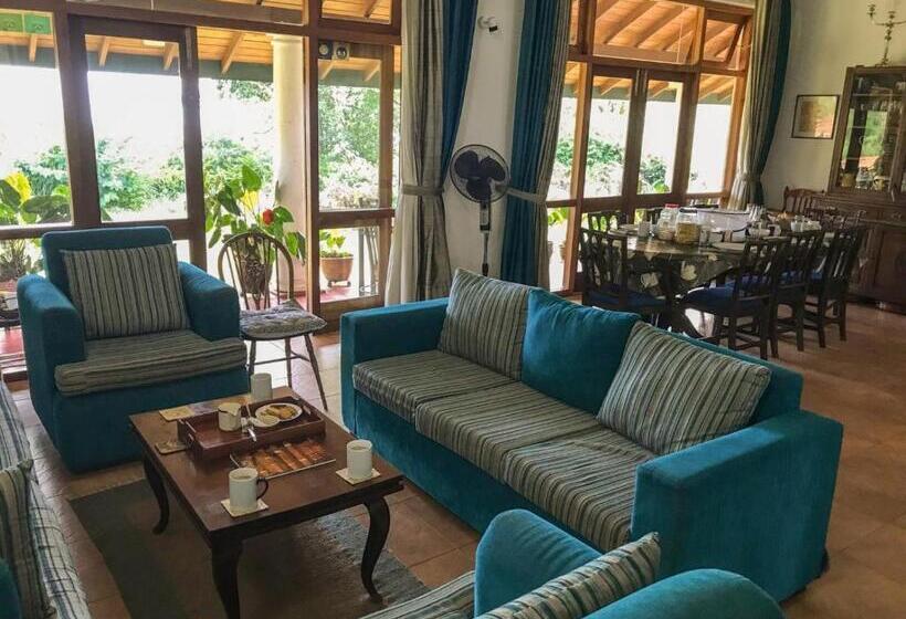 ペンション Jungle Tide