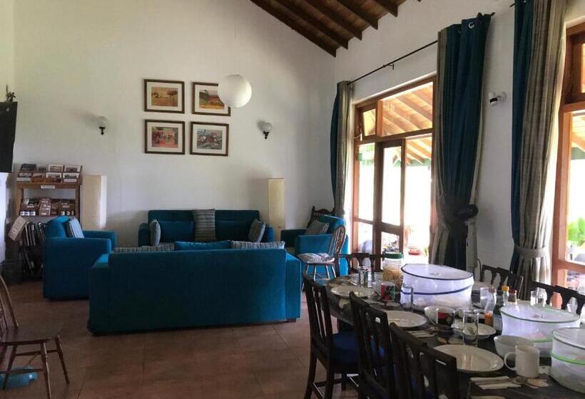 ペンション Jungle Tide