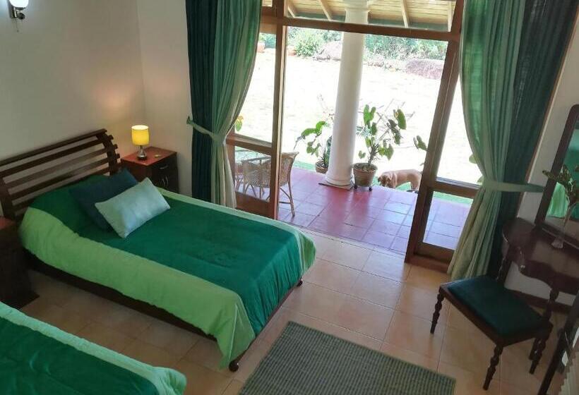 ペンション Jungle Tide