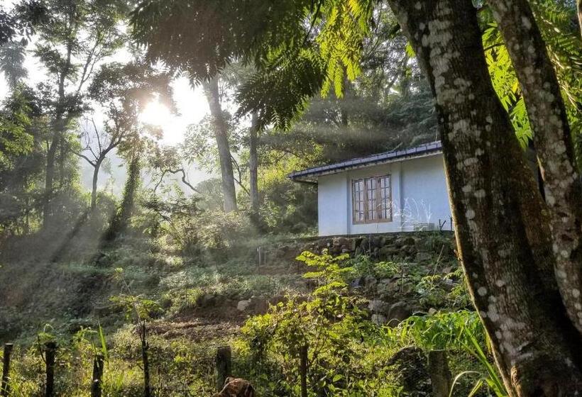 ペンション Jungle Tide