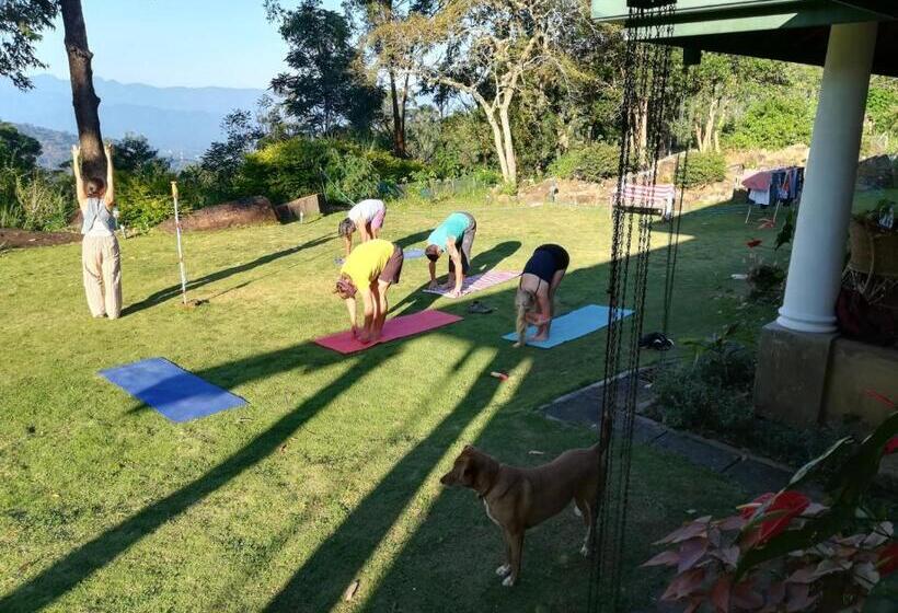 ペンション Jungle Tide