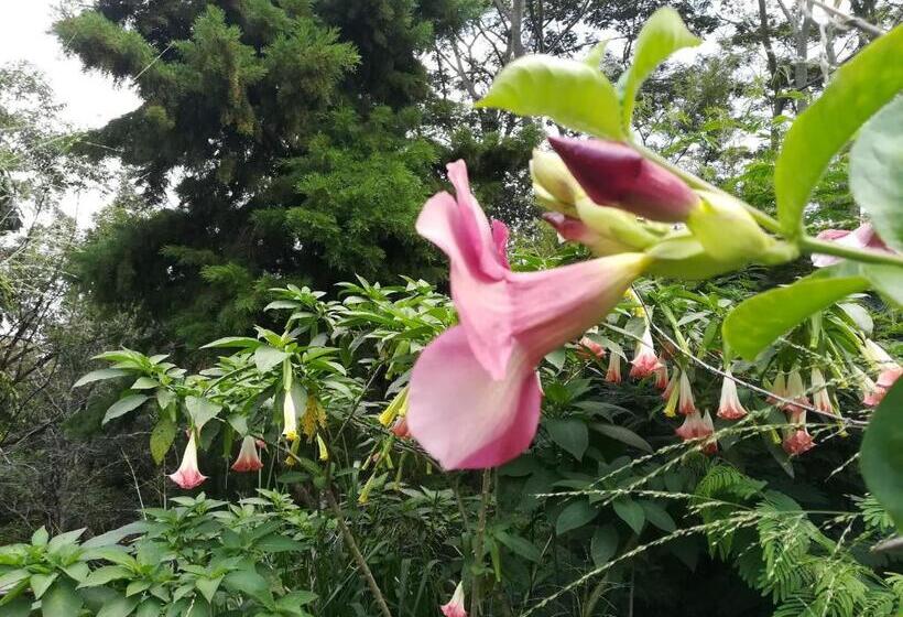 ペンション Jungle Tide