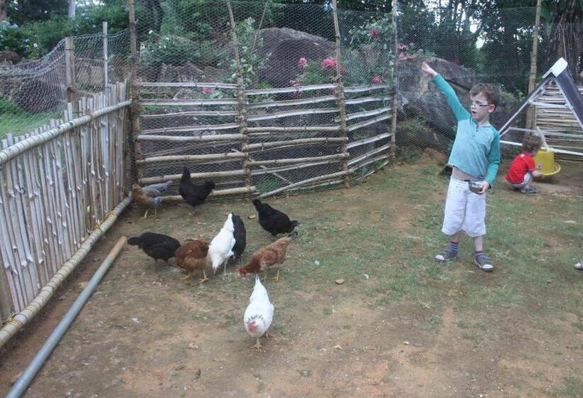 ペンション Jungle Tide