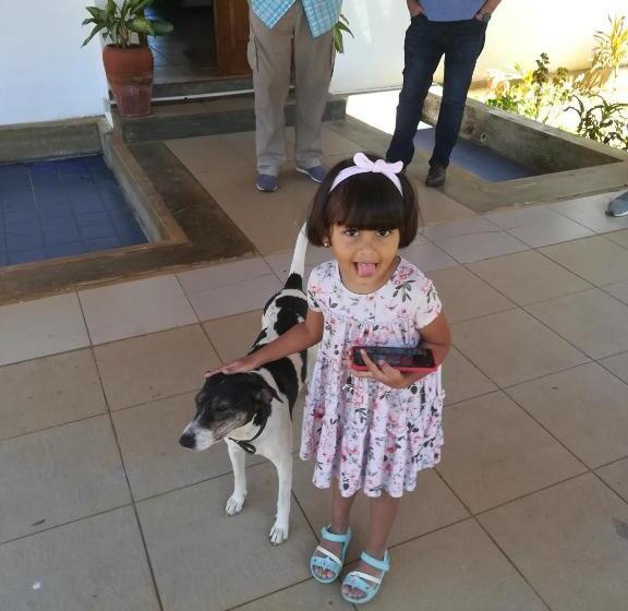 ペンション Jungle Tide