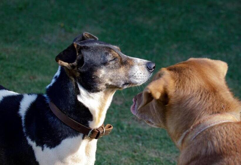 ペンション Jungle Tide