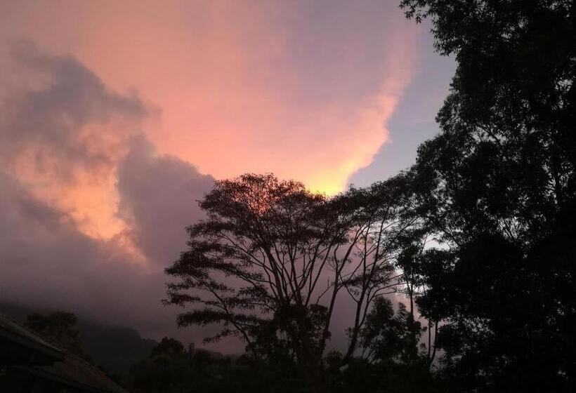 ペンション Jungle Tide