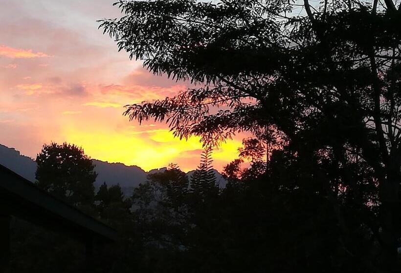 ペンション Jungle Tide