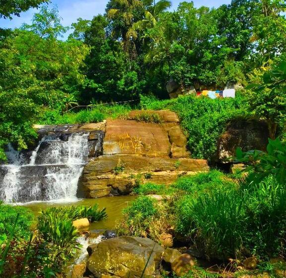 ペンション Jungle Tide