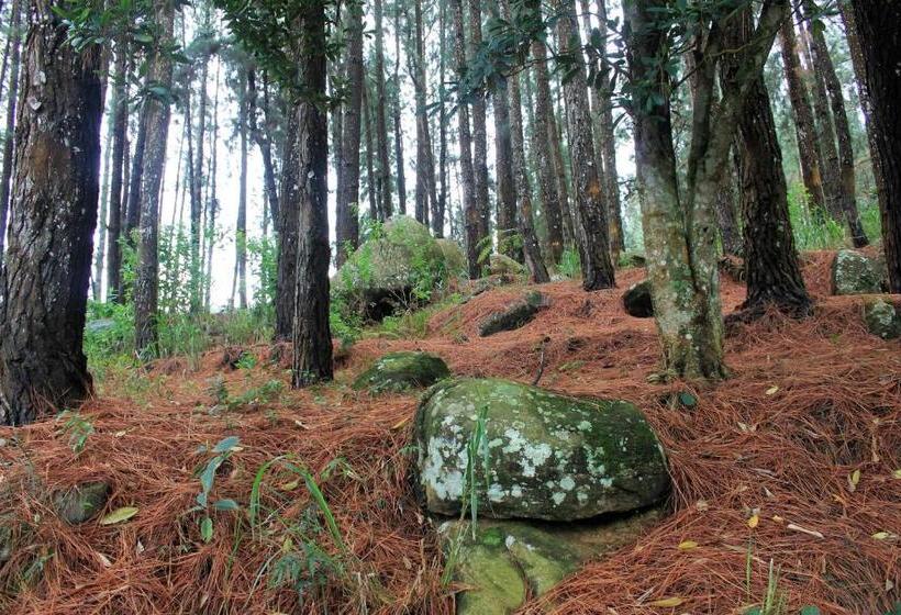 ペンション Jungle Tide