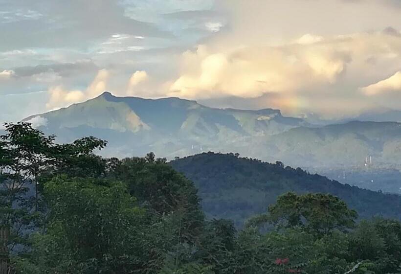 ペンション Jungle Tide