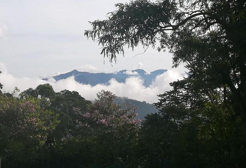 ペンション Jungle Tide