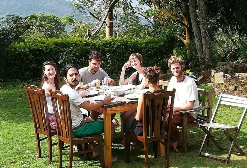 ペンション Jungle Tide