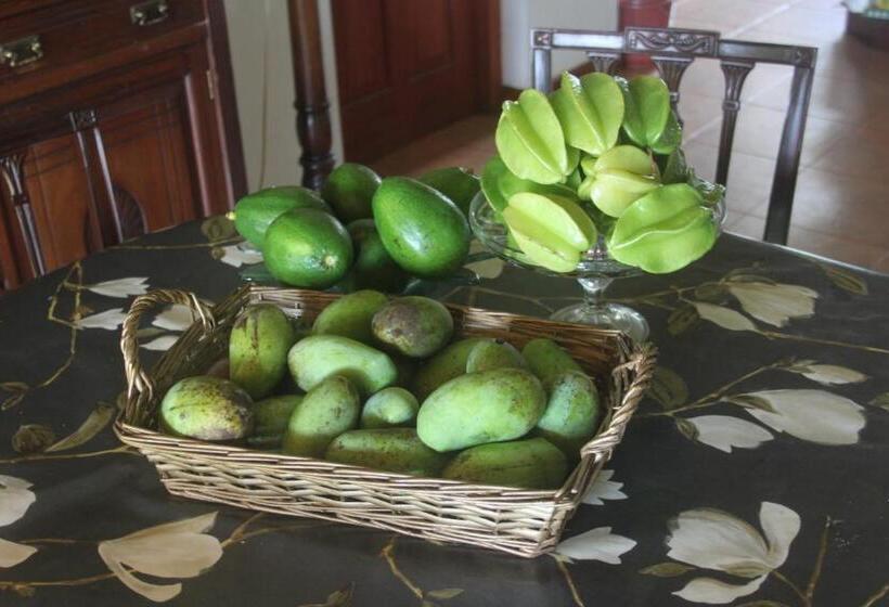 ペンション Jungle Tide