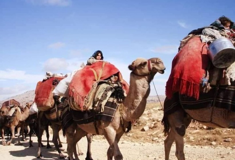 بنسيون Kozlar Yaylasi Doga Otel