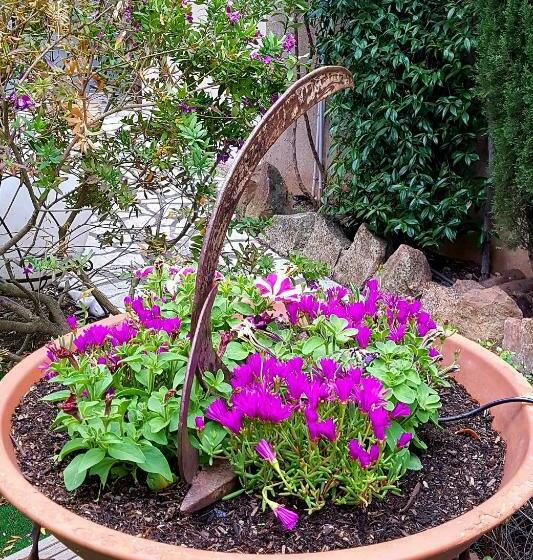 ペンション Le Mas De Marie