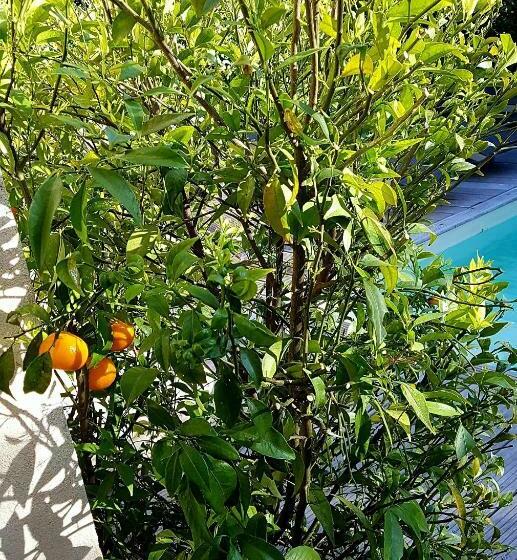 بنسيون Le Mas De Marie