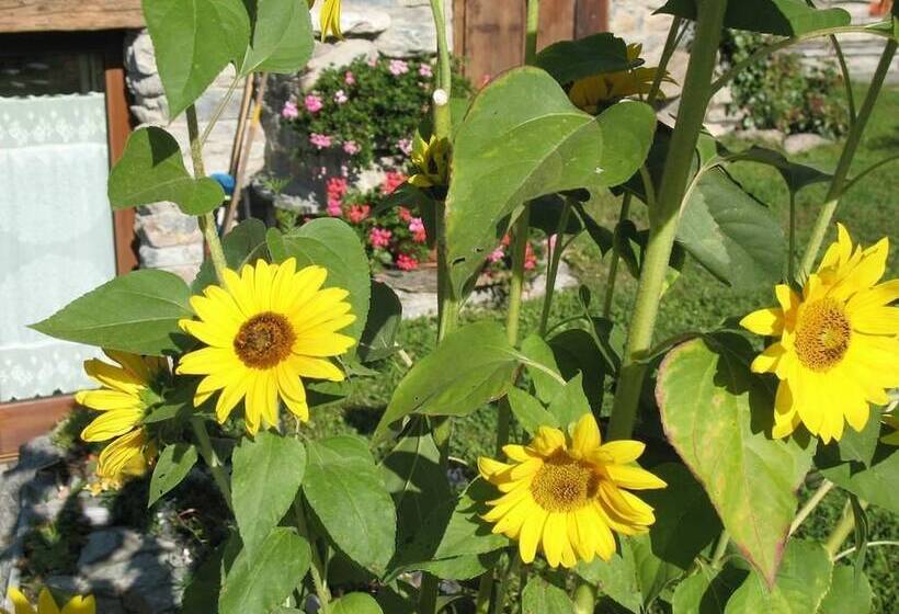 بنسيون Lo Verdzé Di Torgnon