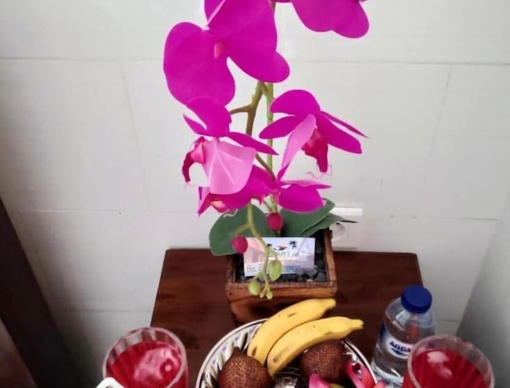 פנסיון Myart Homestay