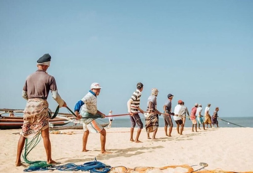 بنسيون New York Guest House