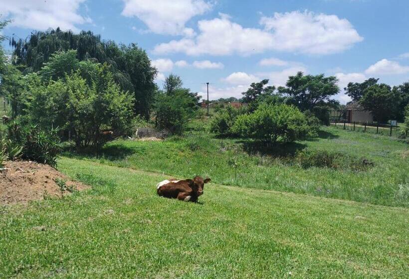 פנסיון Offgrid Farm