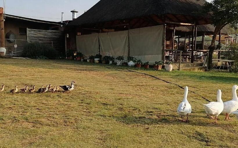 פנסיון Offgrid Farm