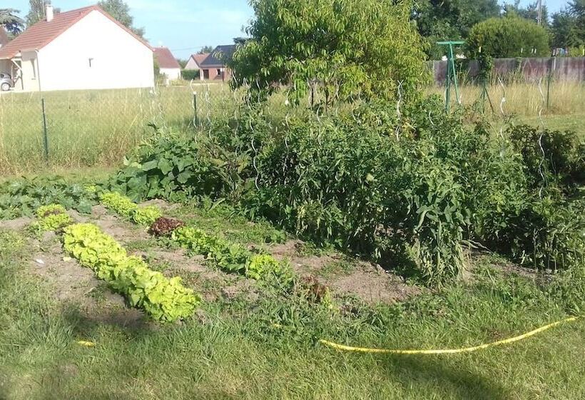 פנסיון Les Chambres D Hotes Pastelle