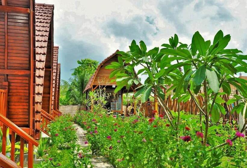 פנסיון The Peace Arta Bungalow