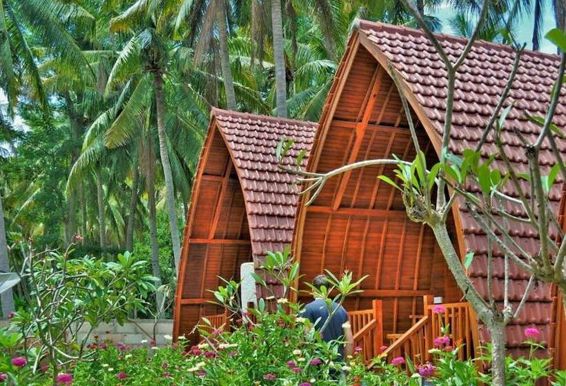 פנסיון The Peace Arta Bungalow