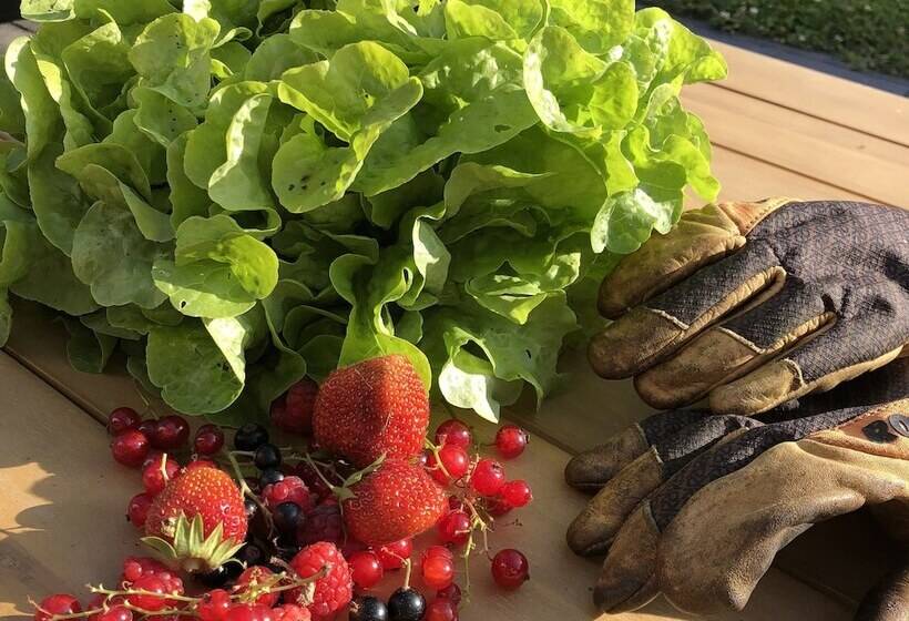 Пансион We Maison D Hotes