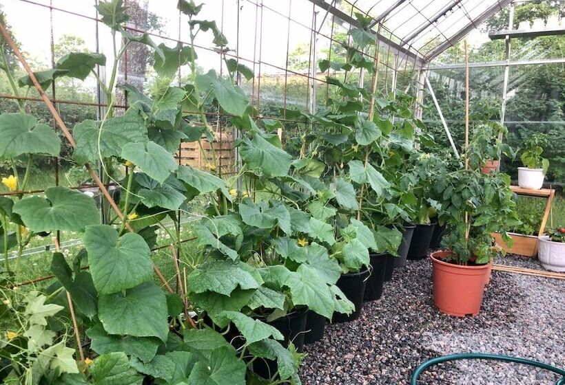 Pensionat Kanalvillan