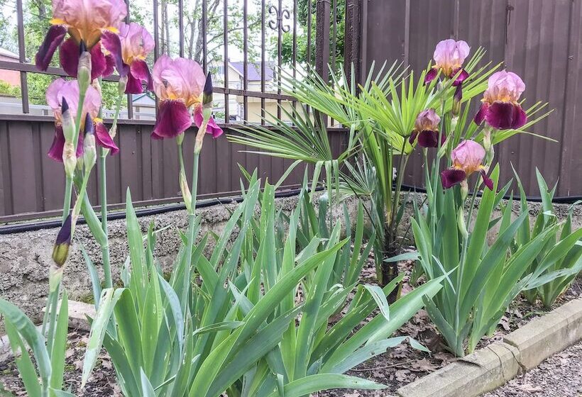 استراحتگاه Smile Hotels