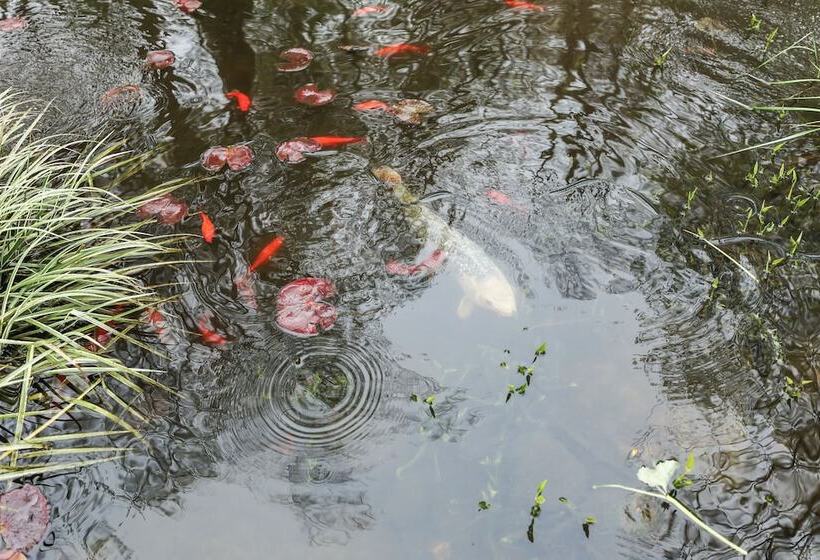 住宿加早餐  The Royal Manor Inn