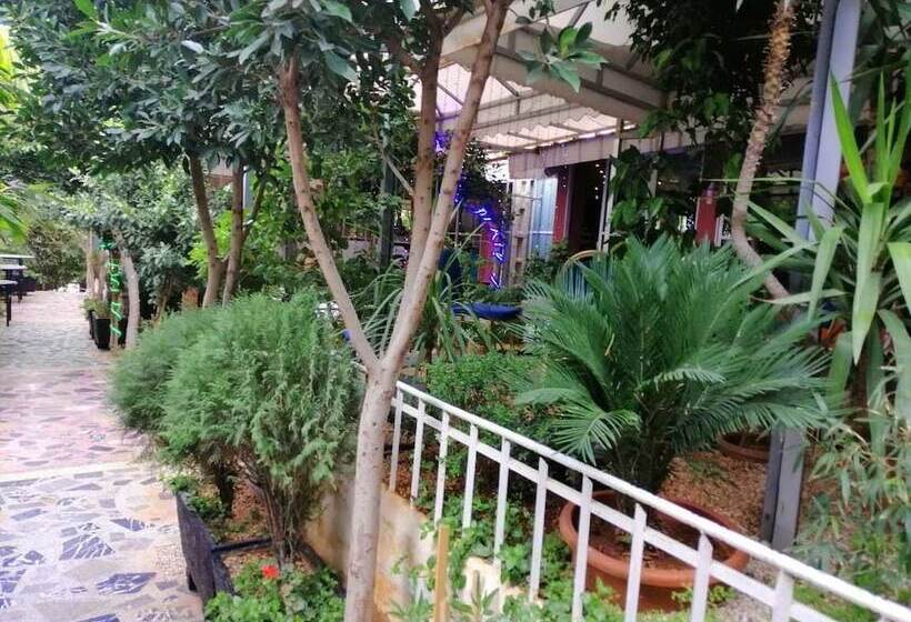 Senhaja Hotel   Hostel