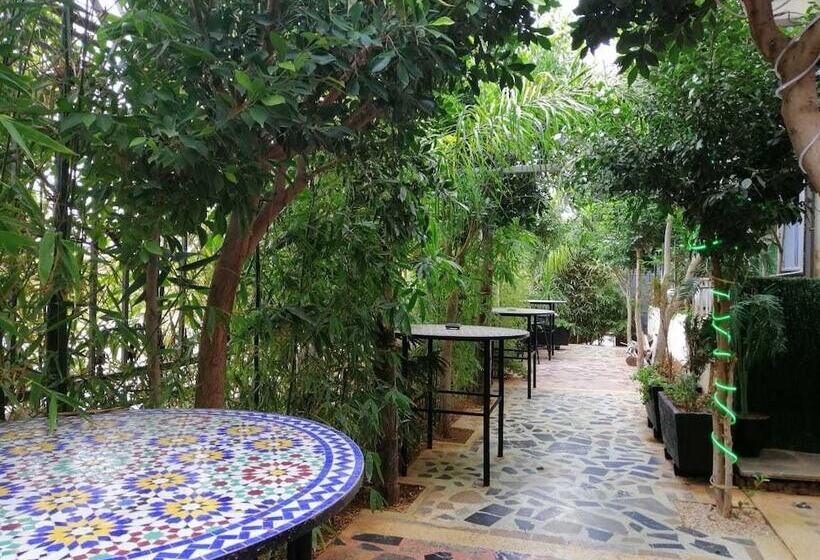 Senhaja Hotel   Hostel