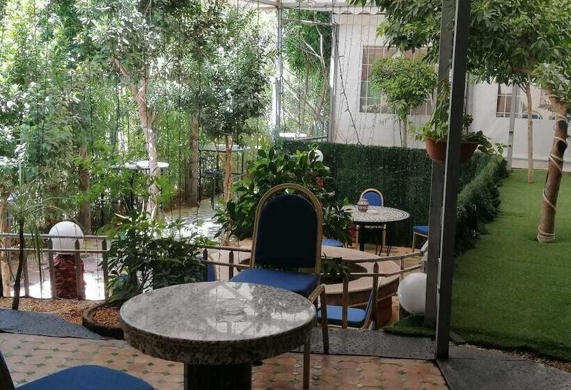 Senhaja Hotel   Hostel