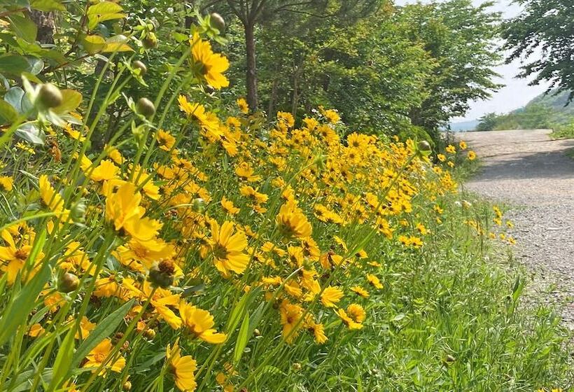 Anmyeondo Tamarind Pension